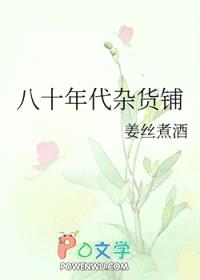 八十年代杂货铺封面